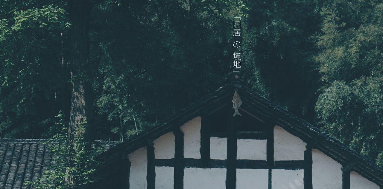 陈国军：生命中最爱最恨的都是刘晓庆