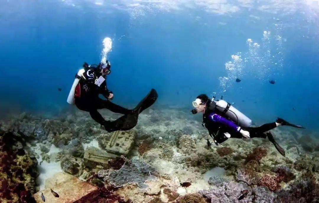 火狐浏览器124版本分支中获得正式修复